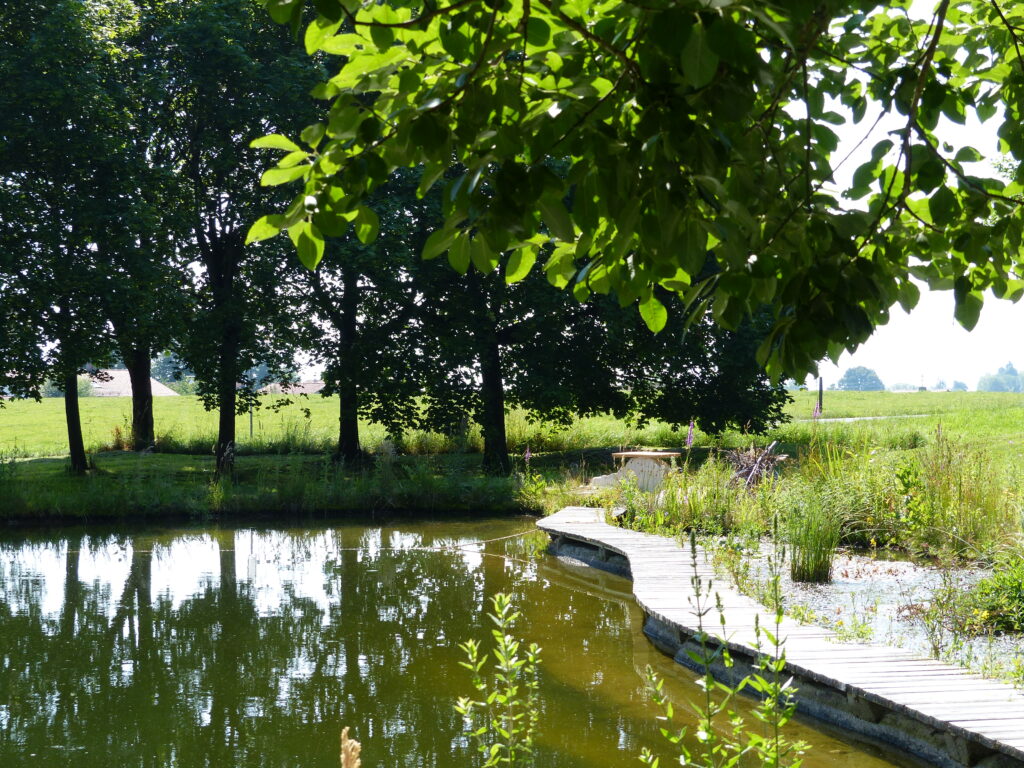 weiher mit holzsteg